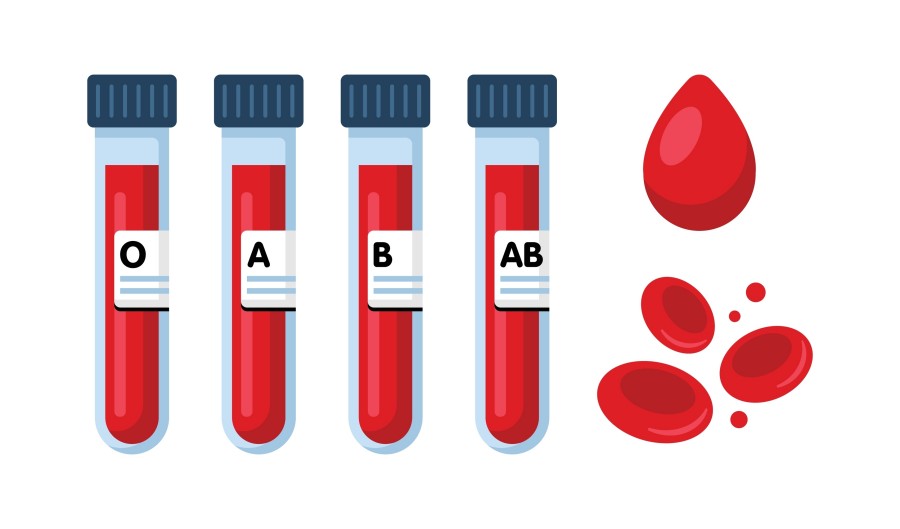 Blood Group Antigen. (Creative Biolabs Authorized)