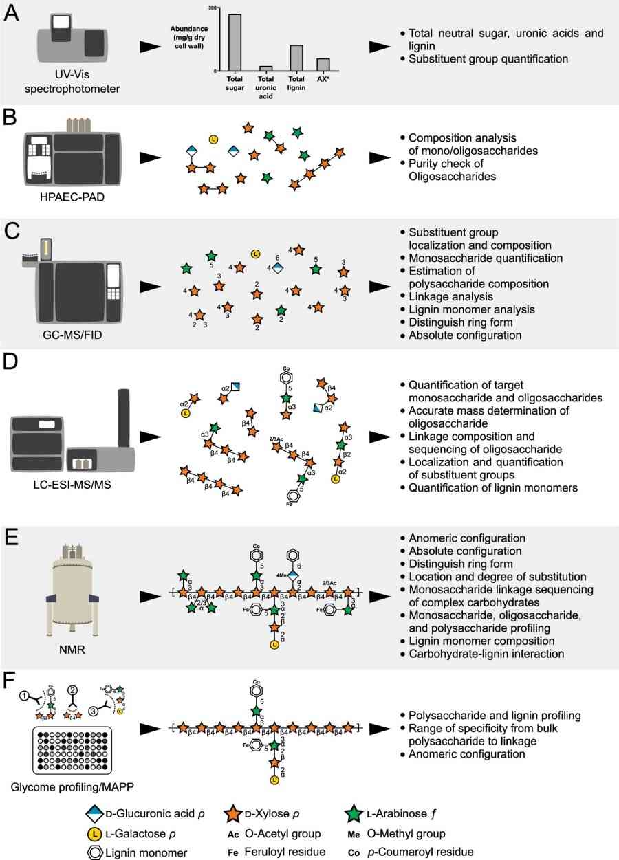 Fig.2 Total cell wall Analytical methods.