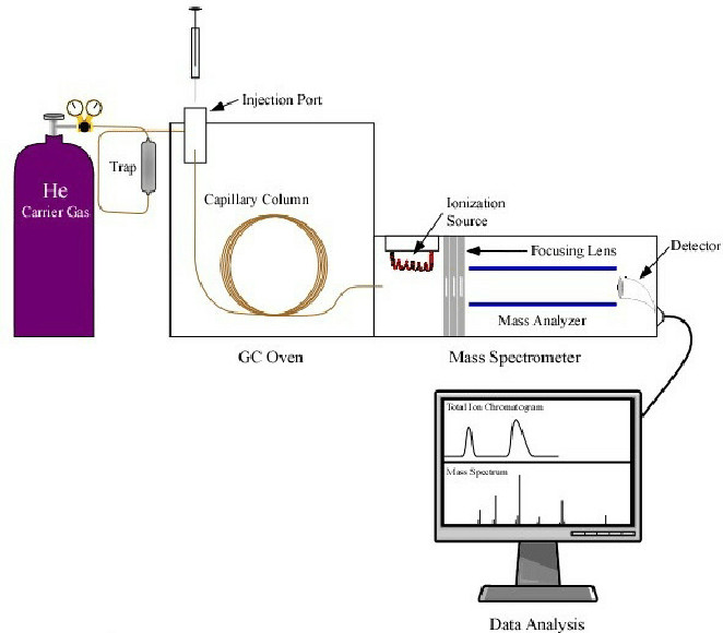 Fig.1 The Schematic of GC-MS Detection.