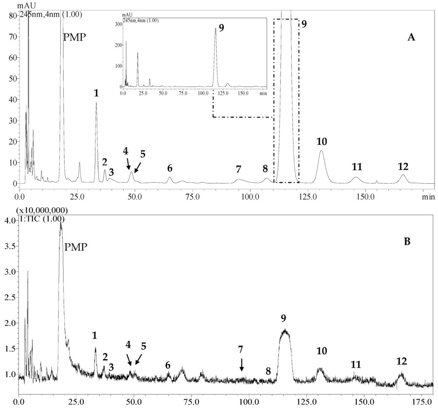 Fig.2 HPLC Chromatogram and Positive Mode TIC of 12 PMP-Labeled Monosaccharides.