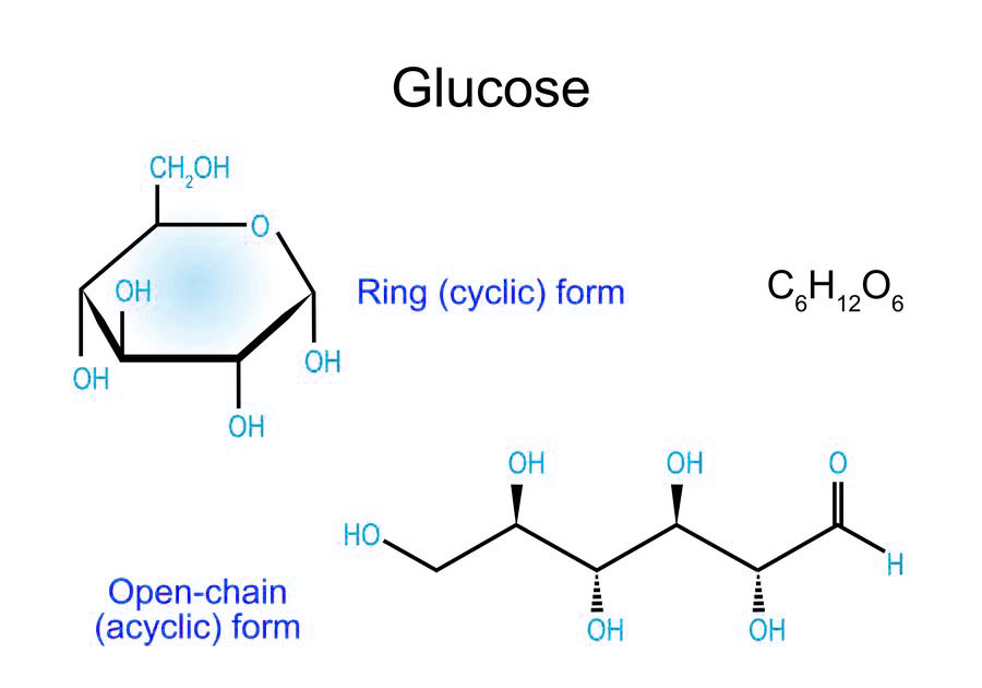 Fig.1 The open-chain and cyclic forms of glucose. (Creative Biolabs Authorized)