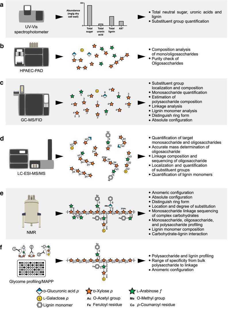 Fig.1 Current Methodologies Used for Comprehensive Cell Wall Analysis.