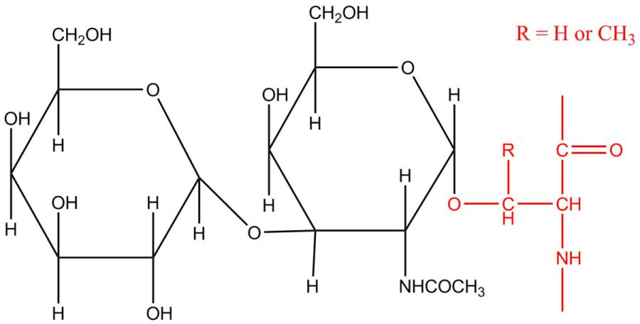 Fig.1 The structural property of O-linked oligosaccharide.