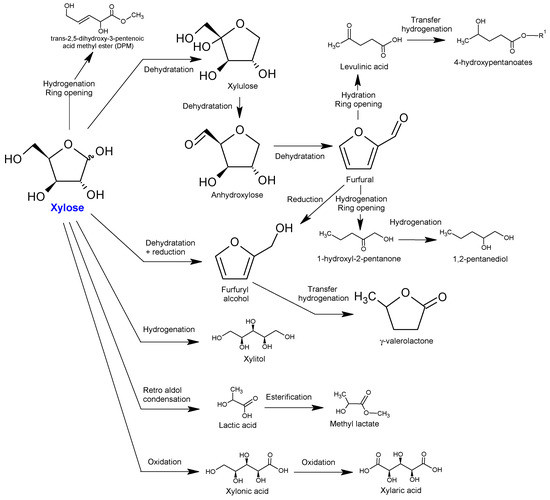 Fig.2 Reaction routes from xylose via furfural and direct routes from the pentose.