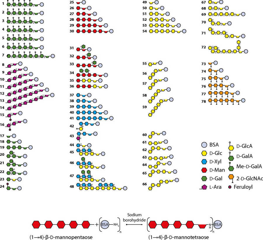 Fig.1 Different types of plant oligosaccharides.