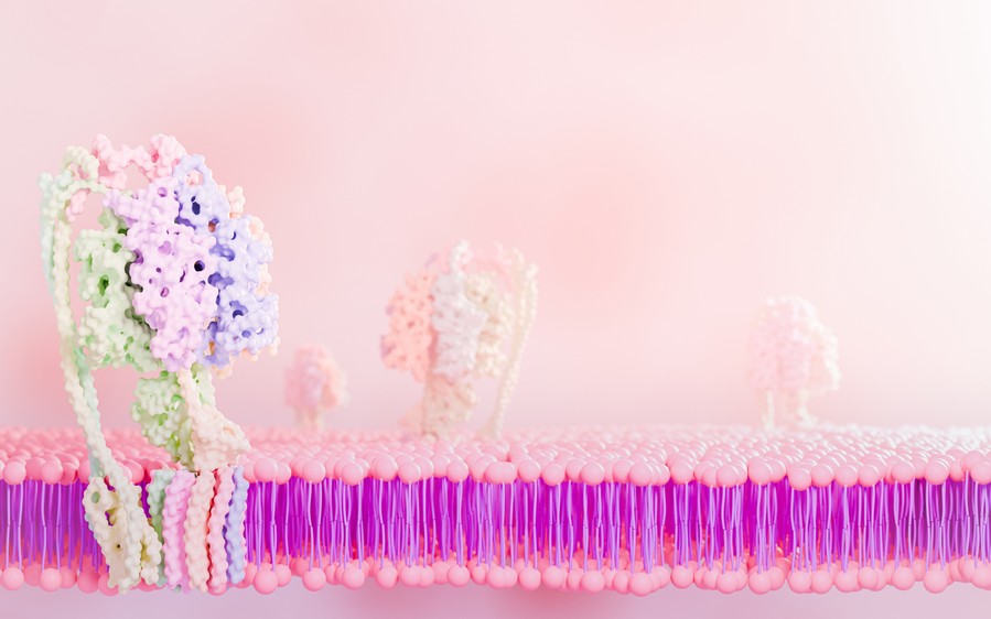 Glycan studies. (Creative Biolabs Authorized)