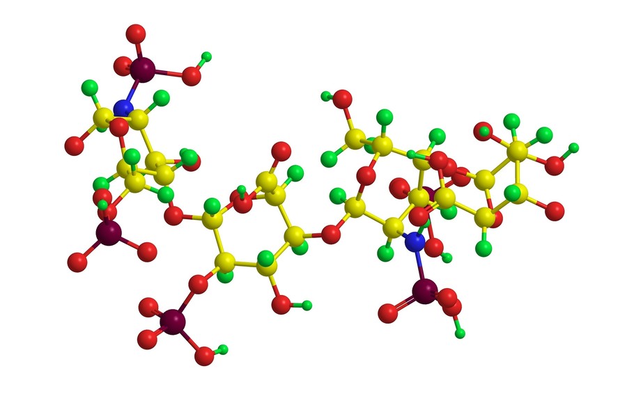 The schematic of oligosaccharide. (Creative Biolabs Authorized)