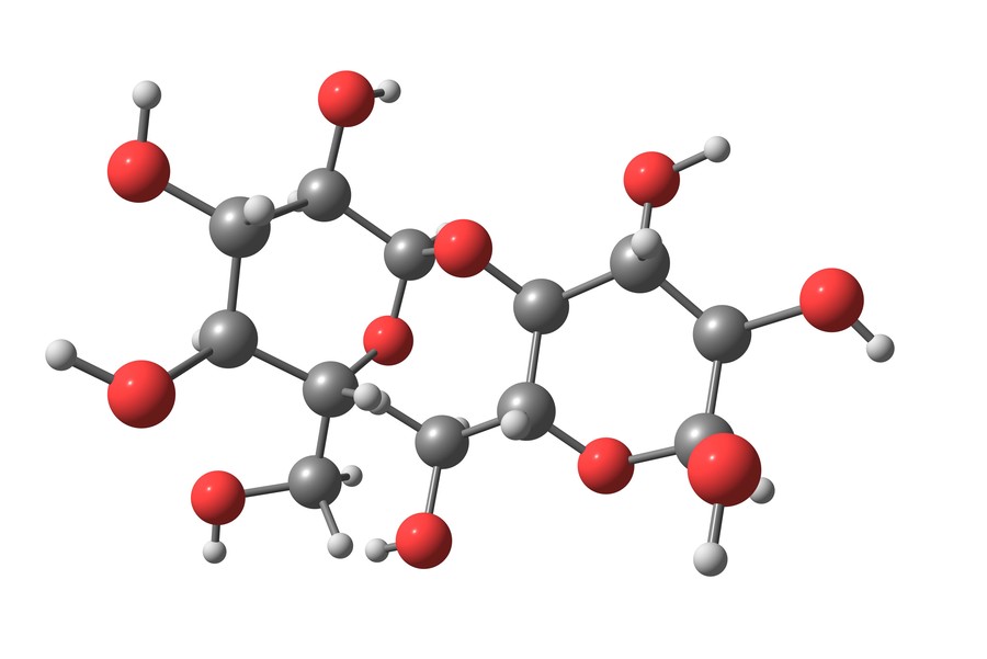 The schematic of polysaccharide. (Creative Biolabs Authorized)