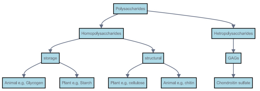 Fig.2 Polysaccharide Classification by Monosaccharide Composition. (Creative Biolabs Original)