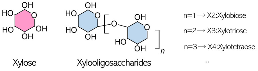 Fig.1 The structural properties of XOS.