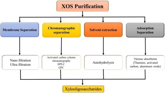 Fig.2 The purification process of XOS.