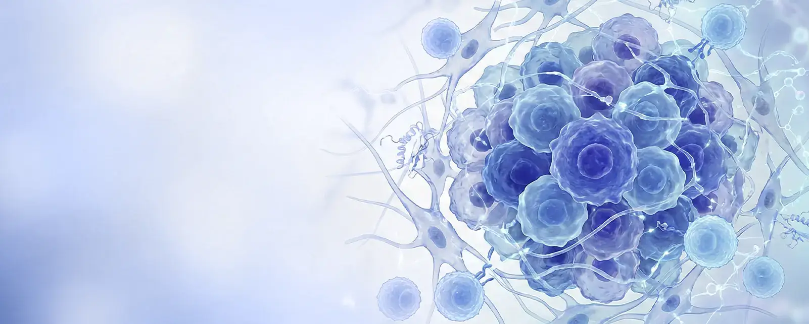Foundational Oncology Research