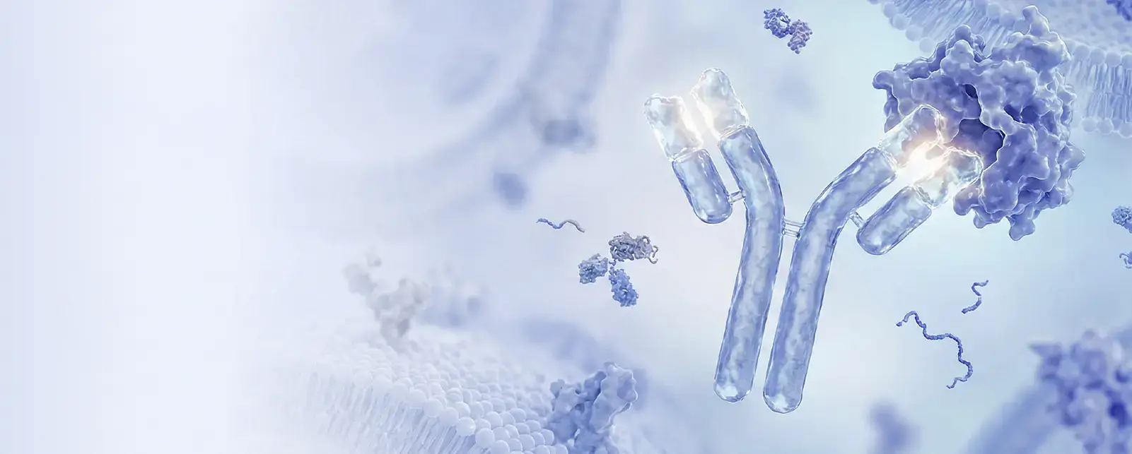 Biologic Therapeutics  Development