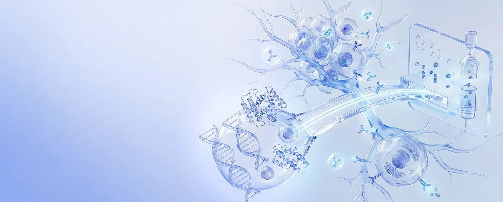 Translational Oncology  Research Support