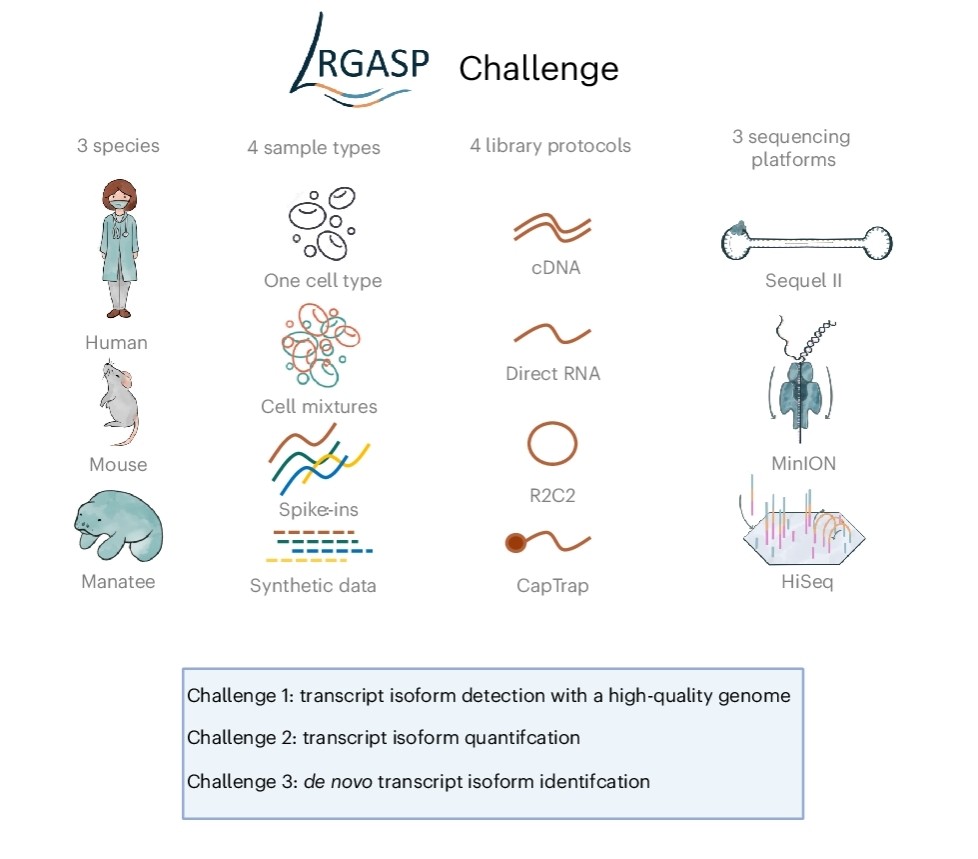 Fig.1 High-quality reference data from the LRGASP project. (OA Literature)