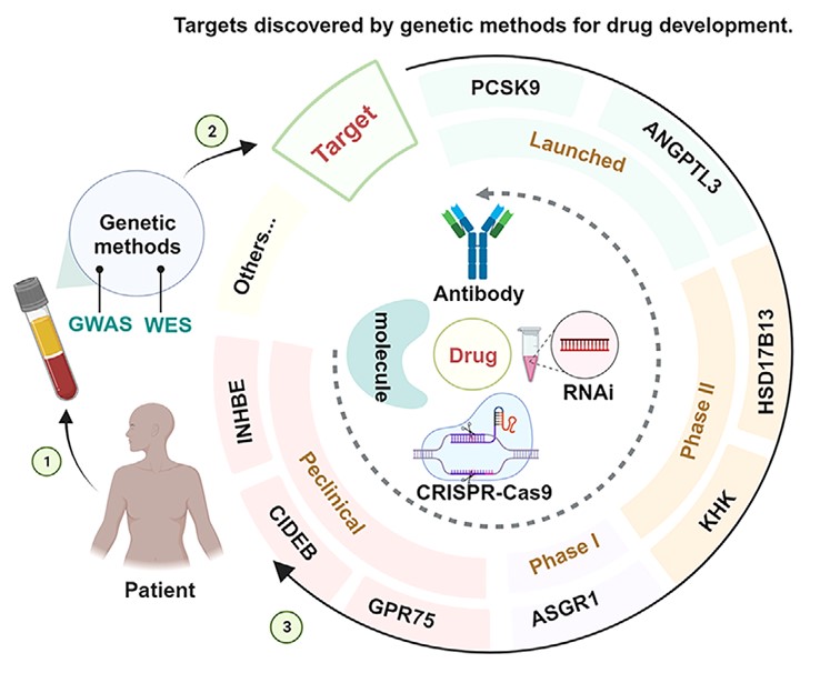 Fig.1 Targeting genes with protective loss-of-function variants for drug discovery. (OA Literature)