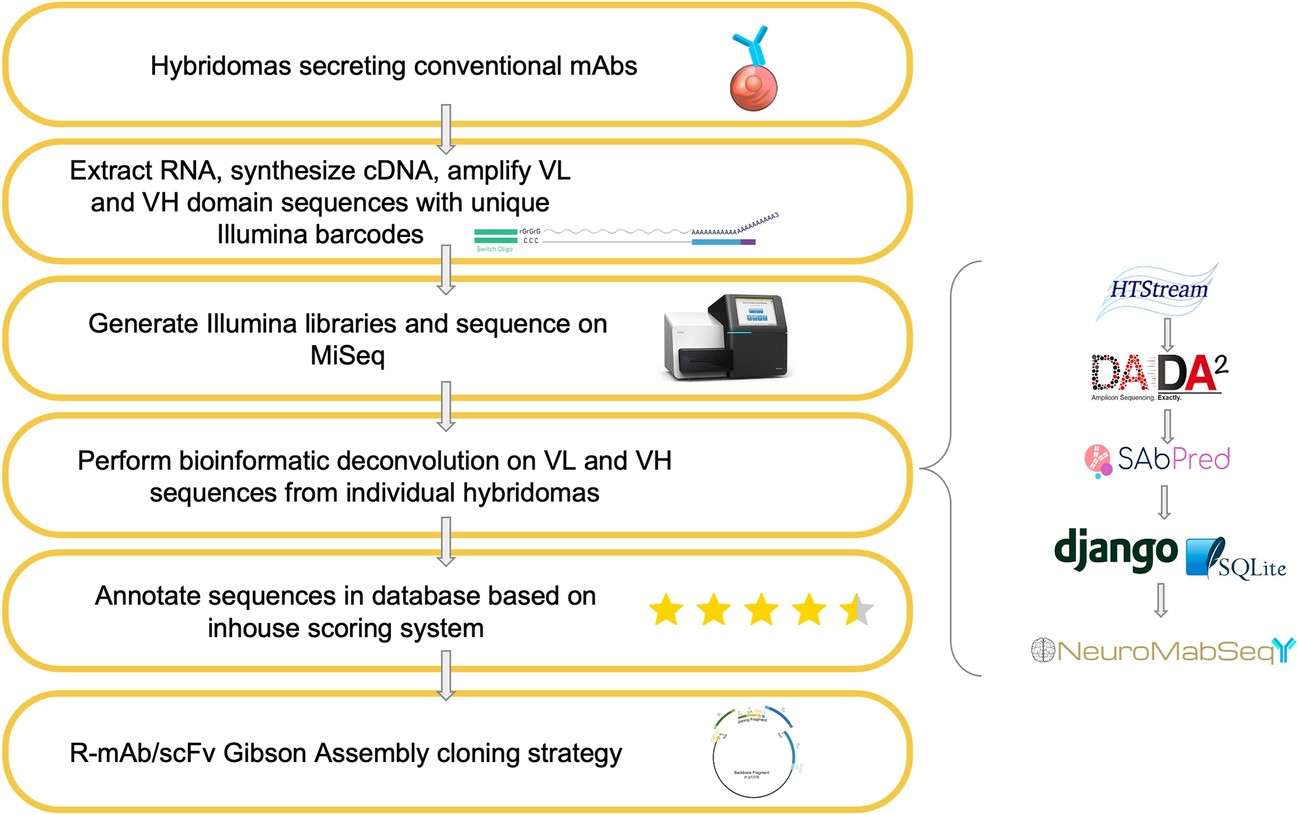 Fig.2 Data generation and computational analysis. (OA Literature)