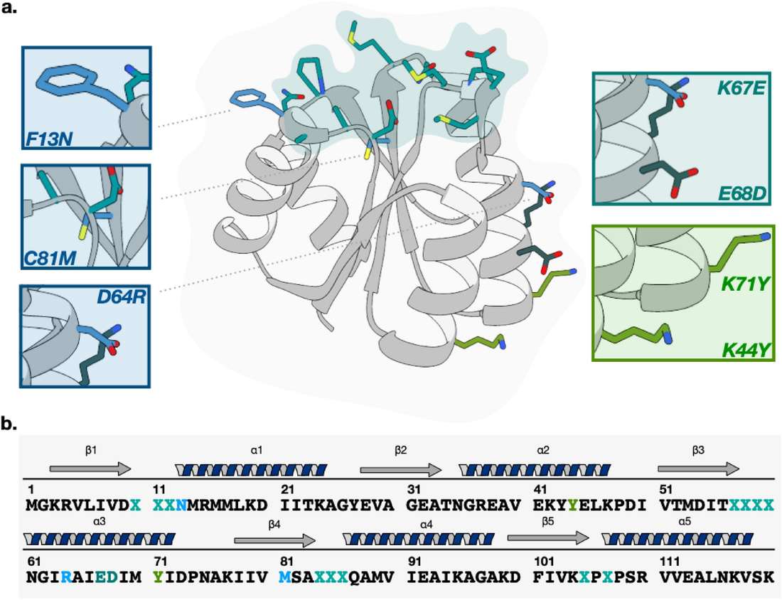 Fig.1 Designing the Cheytins library. (OA Literature)