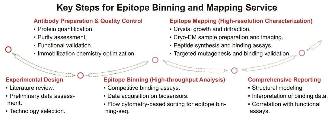 A simple procedure for epitope binning and mapping service. (Creative Biolabs Original)