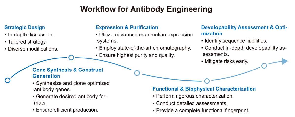 A simple procedure for antibody engineering. (Creative Biolabs Original)