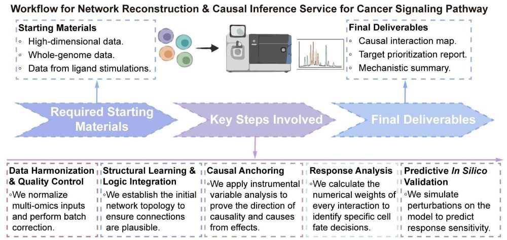 A simple procedure for network reconstruction and causal inference service for cancer signaling pathway. (Creative Biolabs Original)