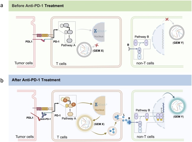 Fig.1 Conceptualizing cell–cell communication mechanisms and causal inference approaches. (OA Literature)