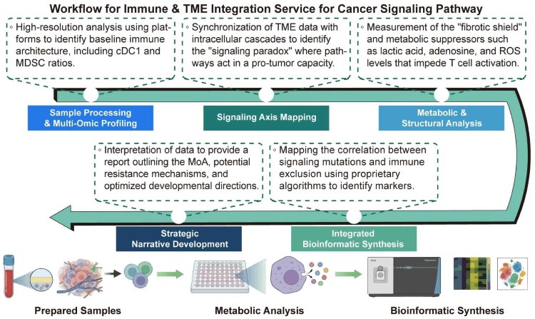 A simple procedure for immune and TME integration service for cancer signaling pathway. (Creative Biolabs Original)