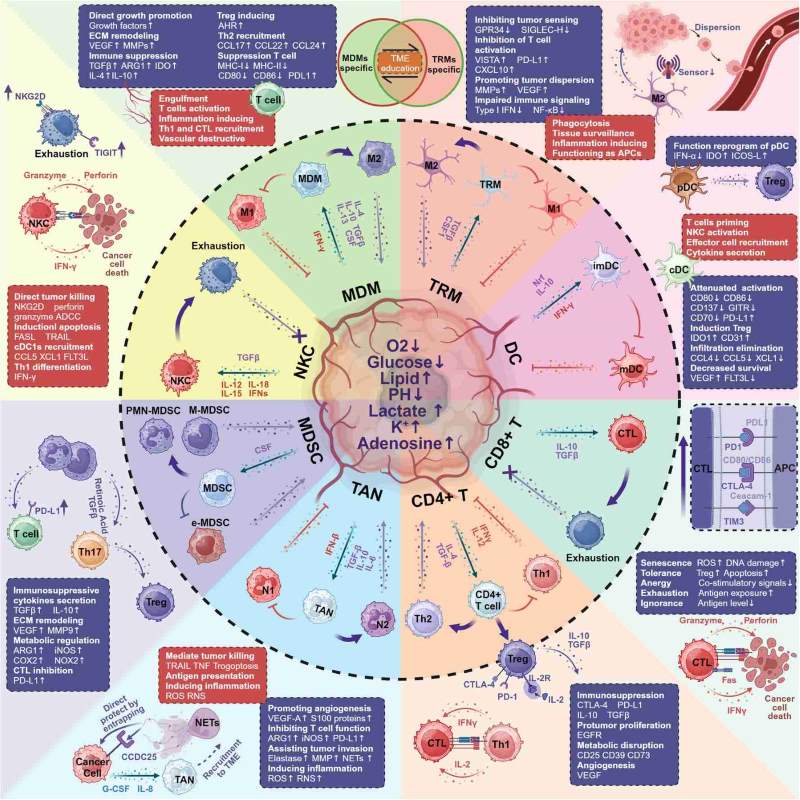Fig.1 Leveraging innate immunity for therapeutic progress in cancer. (OA Literature)