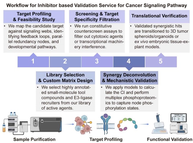 A simple procedure for inhibitor based validation service for cancer signaling pathway. (Creative Biolabs Original)