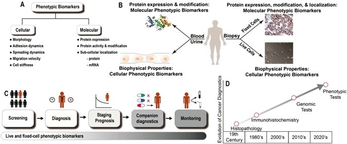Fig.1 Overview of phenotypic biomarkers for cancer. (OA Literature)