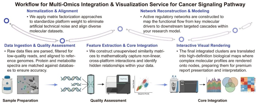 A simple procedure for multi-omics integration and visualization service for cancer signaling pathway. (Creative Biolabs Original)