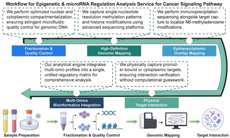 A simple procedure for epigenetic and microRNA regulation analysis service for cancer signaling pathway. (Creative Biolabs Original)