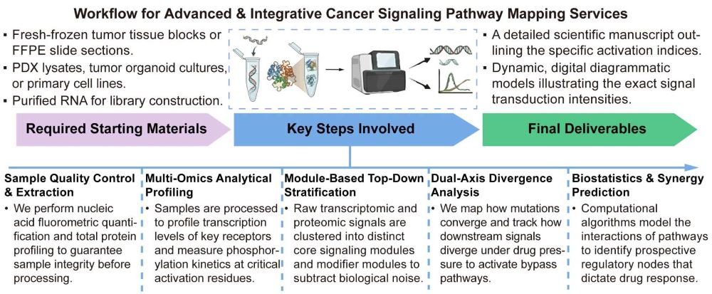 A simple procedure for advanced and integrative cancer signaling pathway mapping services. (Creative Biolabs Original)
