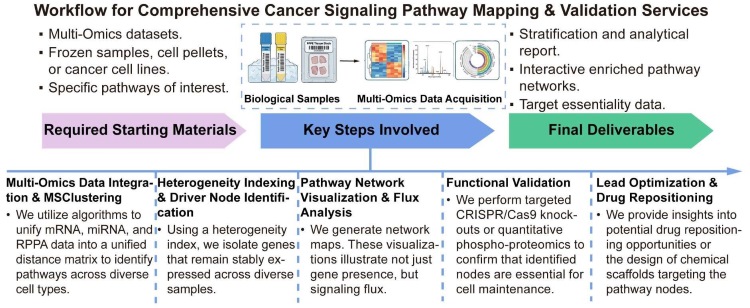 A simple procedure for comprehensive cancer signaling pathway mapping and validation services. (Creative Biolabs Original)