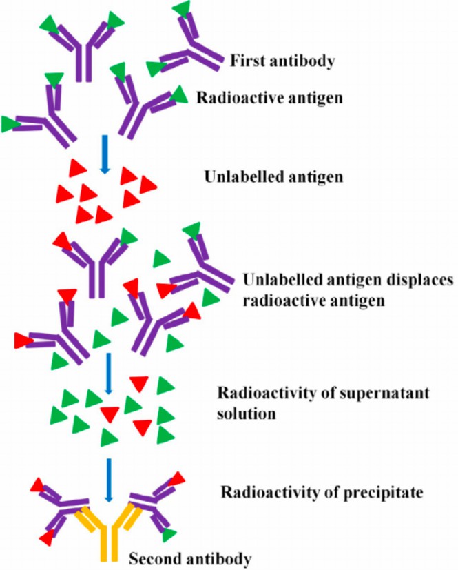 Fig.1 Principle and procedure of Radioimmunoassay. (OA Literature)