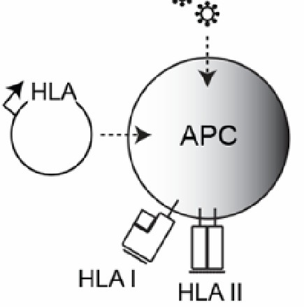 Fig.3 Construction of APCs Cells. (Lee & Meyerson, 2021)
