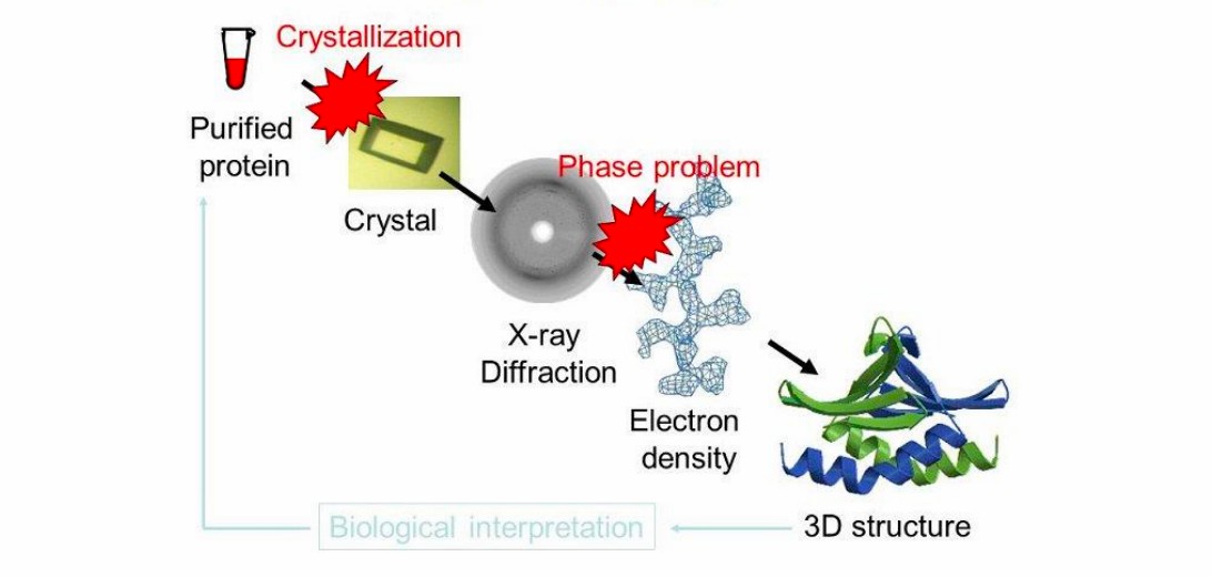 Protein structure determination using X-ray crystallography. (Valavanidis, 2020)