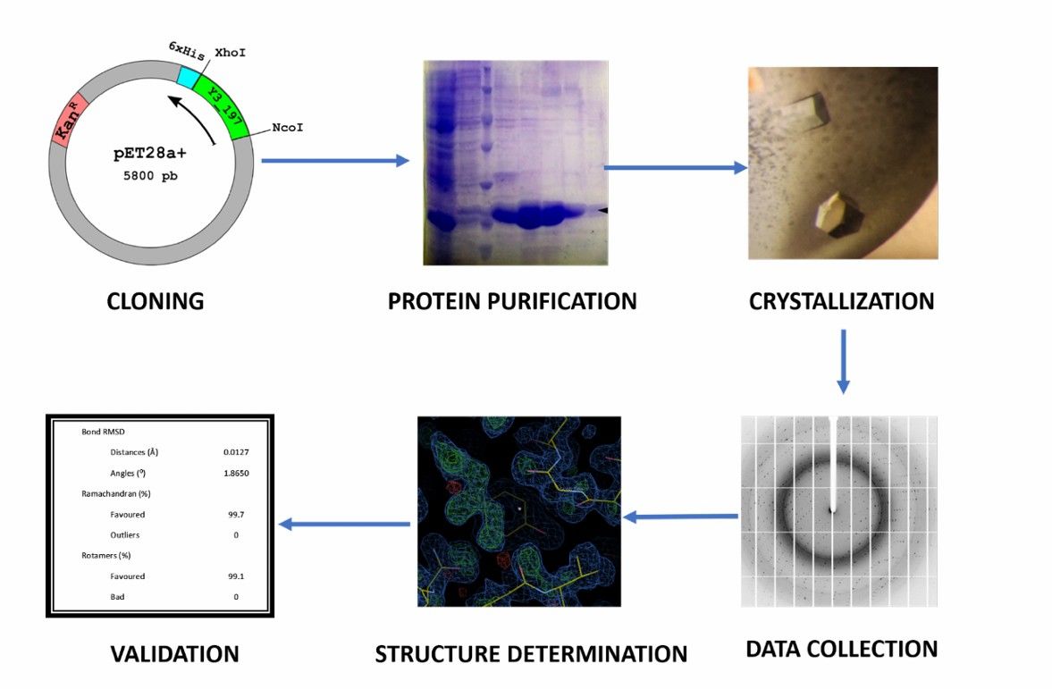 Fig.1 The principle of X-ray crystallography. (OA Literature)