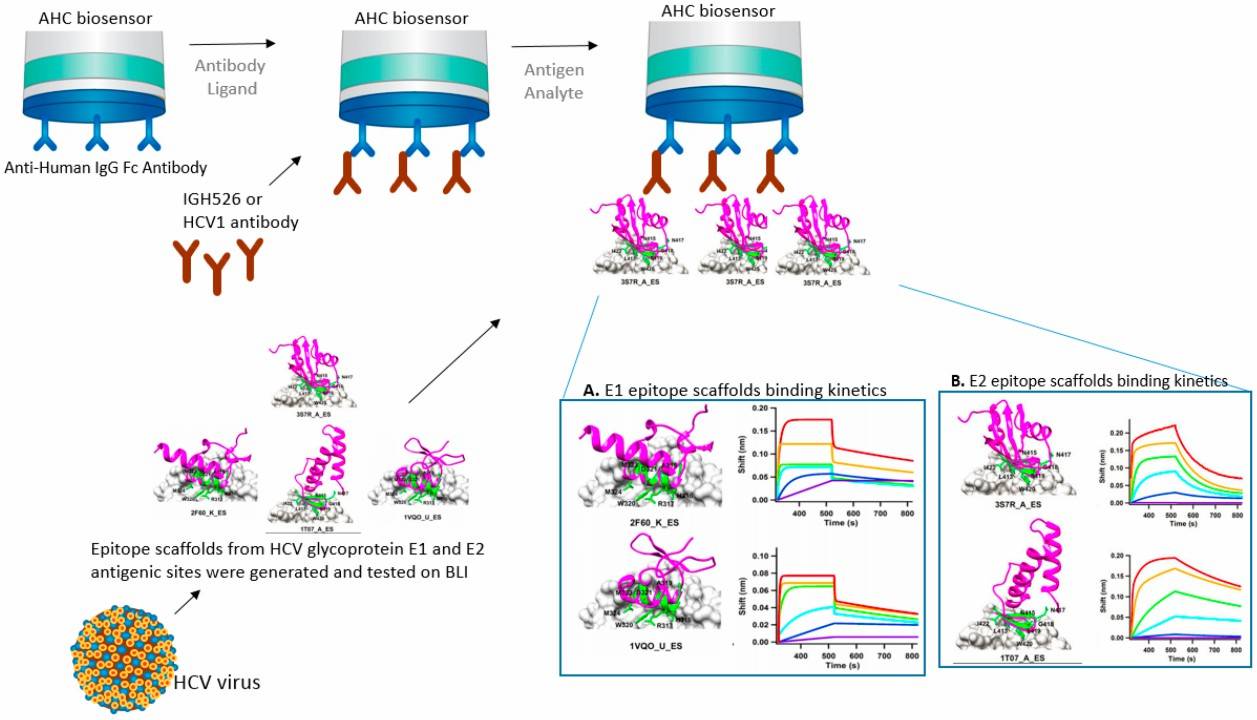 Fig.1 The principle of X-ray crystallography. (OA Literature)