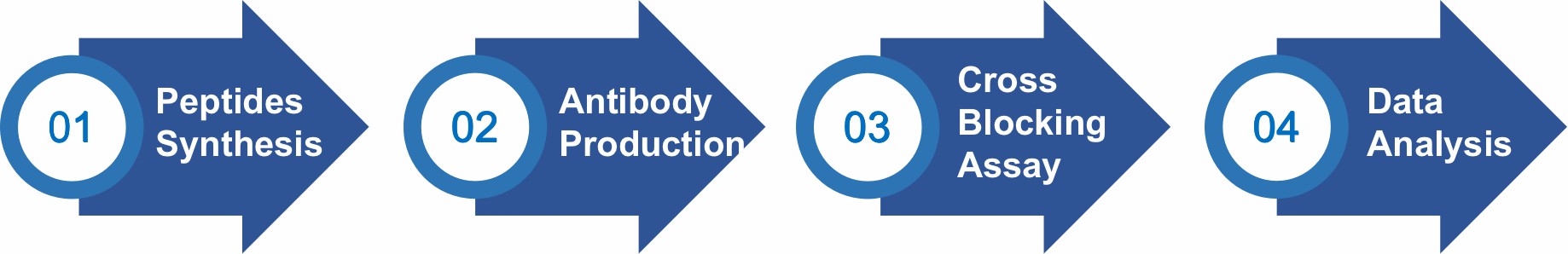 Workflow (Creative Biolabs Original)