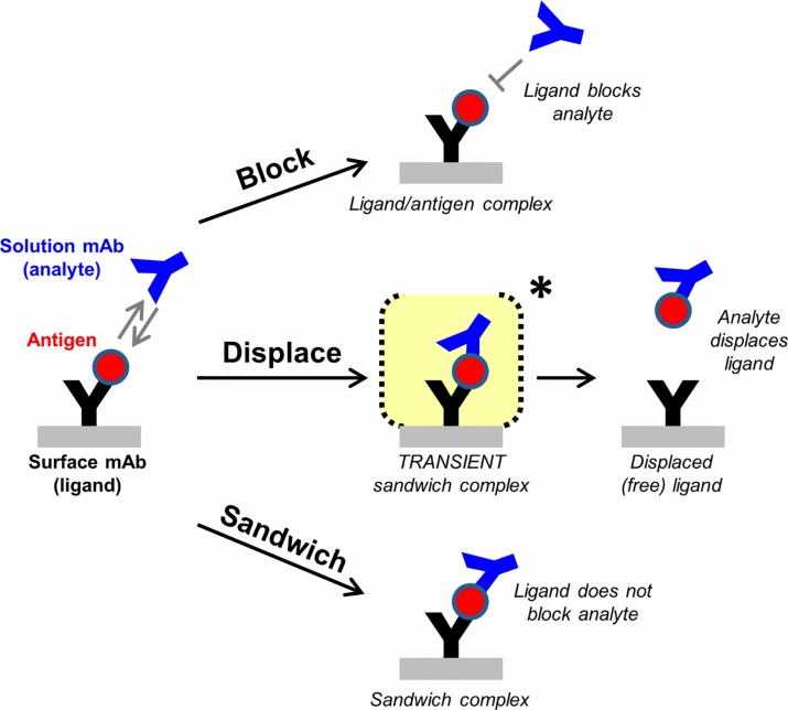 Applying classical sandwich ELISA for cross block assay. (Abdiche, et al., 2017)