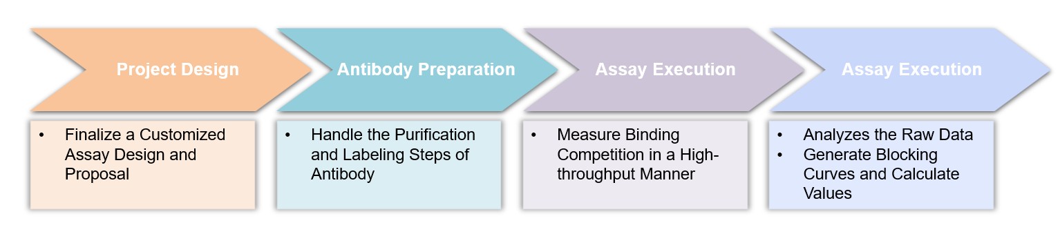 Core steps of the B cell-based cross blocking assay process. (Creative Biolabs Original)