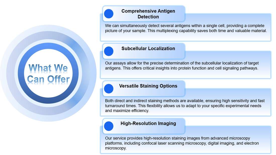 Features of the B cell-based immuno staining assay. (Creative Biolabs Original)