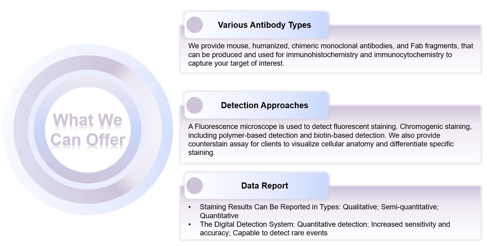 Fig.1 Features of B cell based IHC assay process. (Creative Biolabs Original)