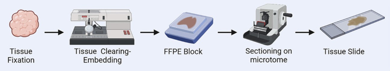 Fig.2 Core steps of sample preparation. (OA Literature)