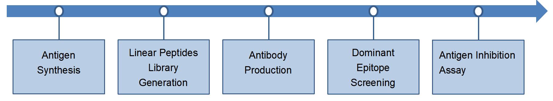 Core steps of B cell-based inhibition by antigen assay process. (Creative Biolabs Original)