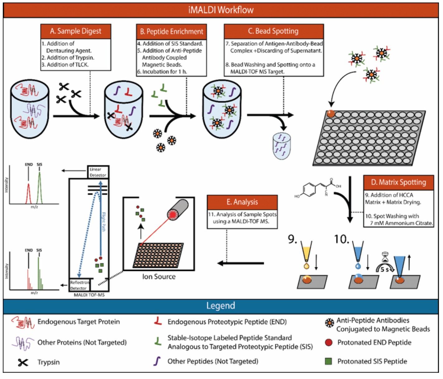  Immuno-MALDI mass spectrometry workflow. (Froehlich, et al., 2020)