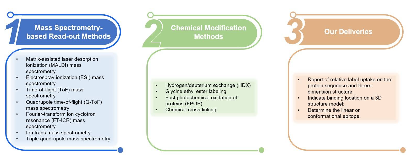 Key features of our service. (Creative Biolabs Original)