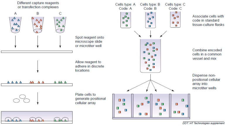 Fig.1 The principle of positional array and suspension microarray. (OA Literature)