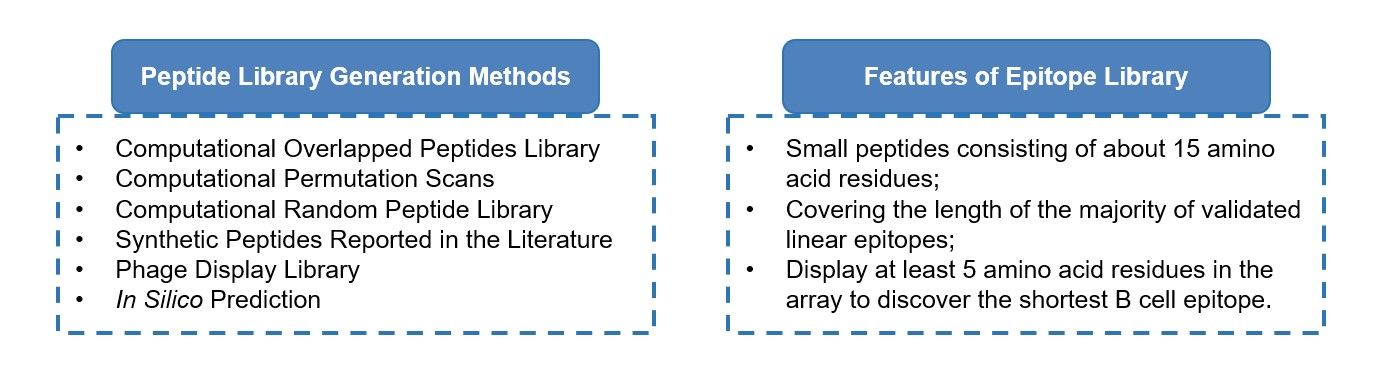 Features of peptide library generation. (Creative Biolabs Original)